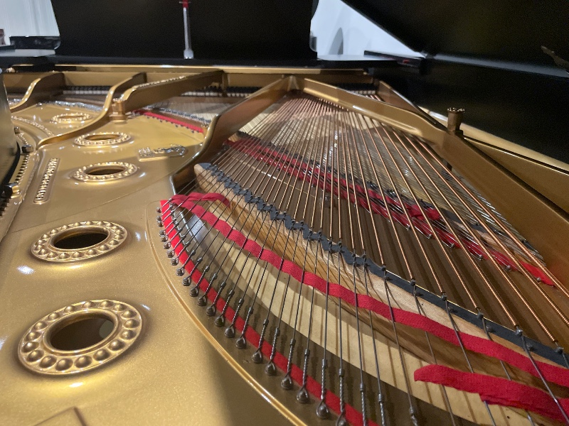 Additional image for Steinway C